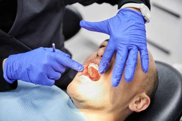 Best Emergency X-Rays and Diagnostics in New Burlington, OH
